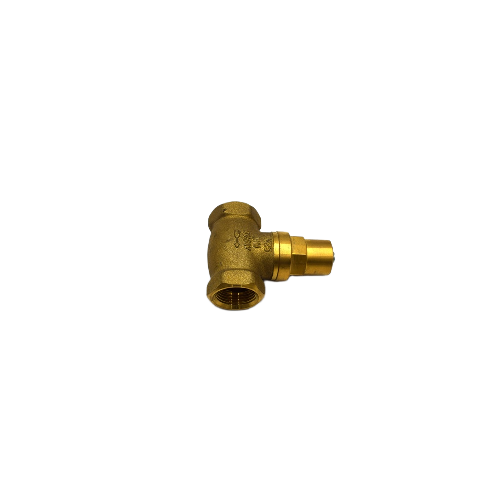 Kompletny zawór zwrotny